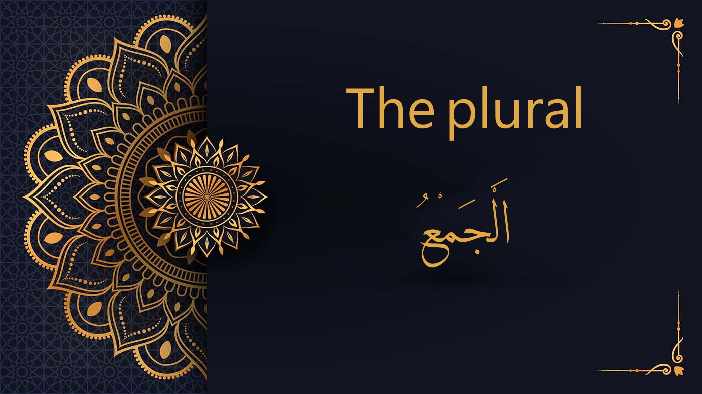 The plural in arabic