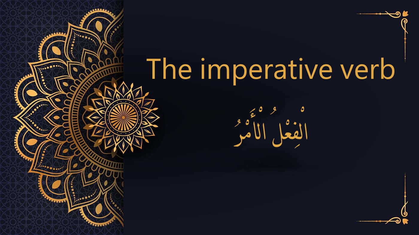 the imperative verb - Arabic free courses