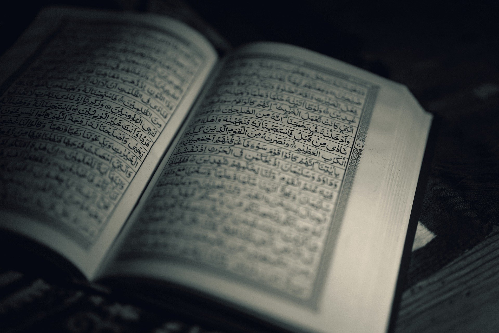 what is tajweed ?