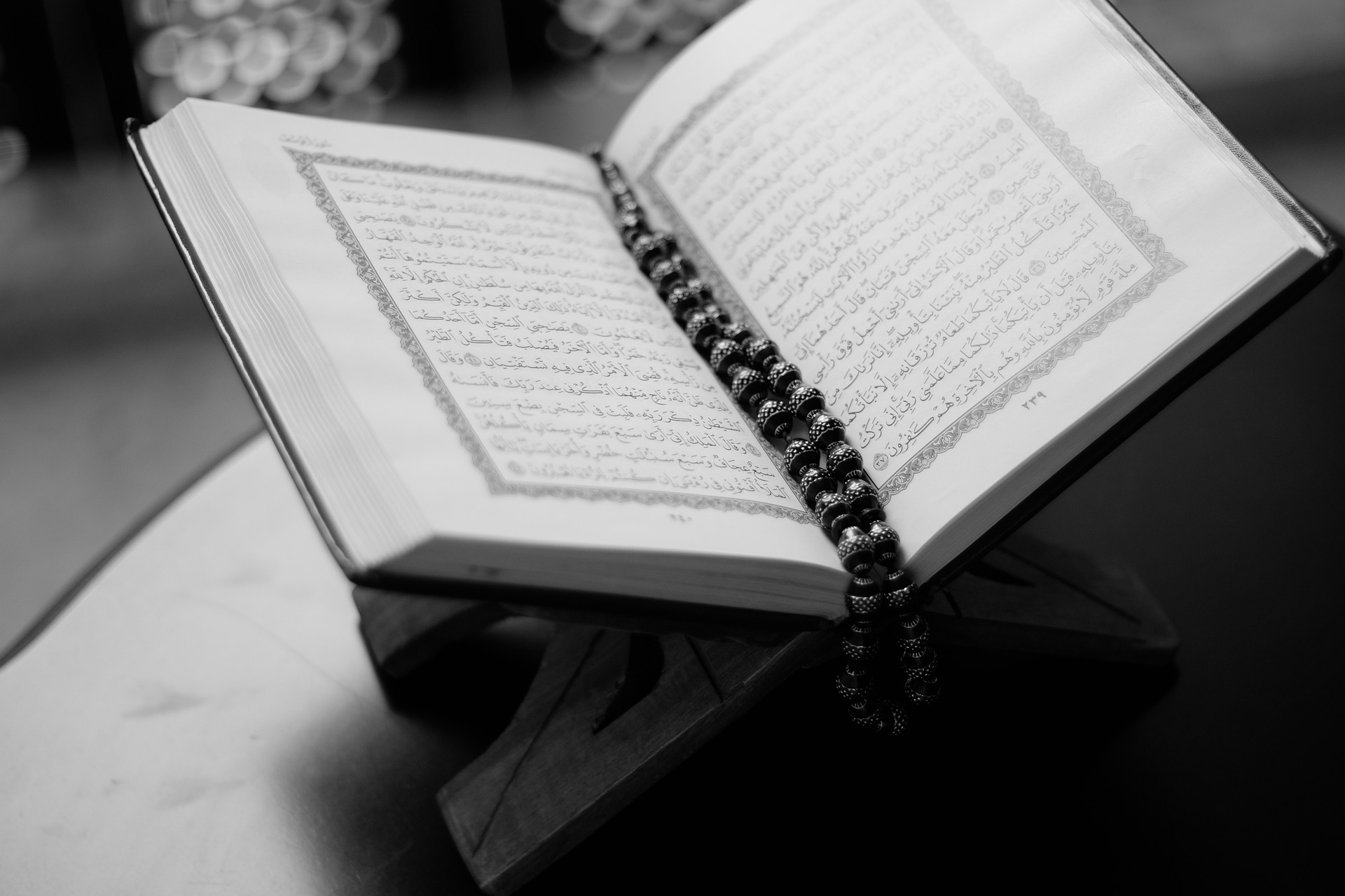 Memorize the Quran