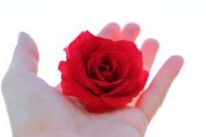 Understanding Suicide in Islam: A Compassionate Guide for Muslims