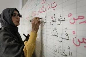 The Arabic Language Hub